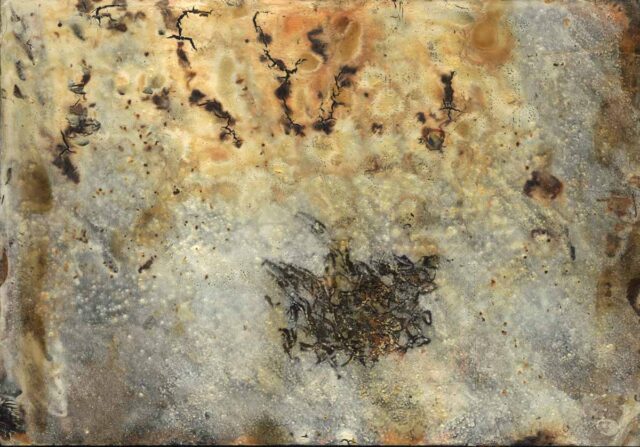 Scorched images, the inside of fire.