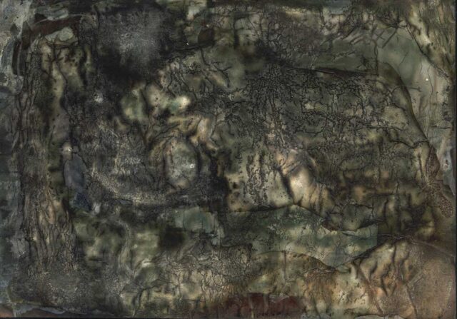 Scorched images, the inside of fire.